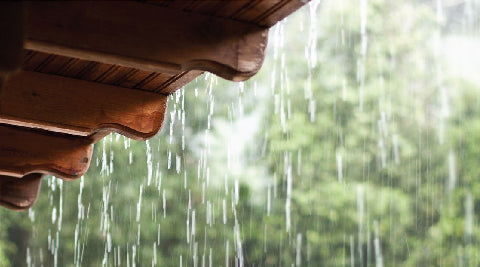 Top 5 Home Essentials for a Cozy Monsoon