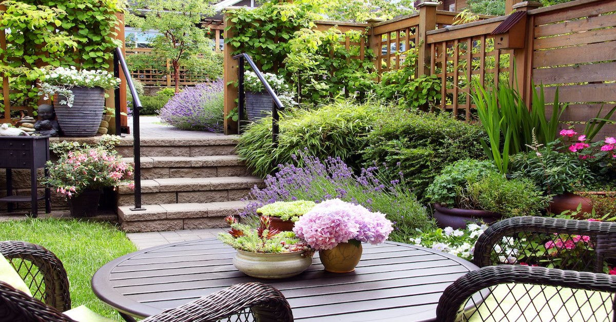 Decor Your Space With Plants & Plots - Story@Home – StoryAtHome.com