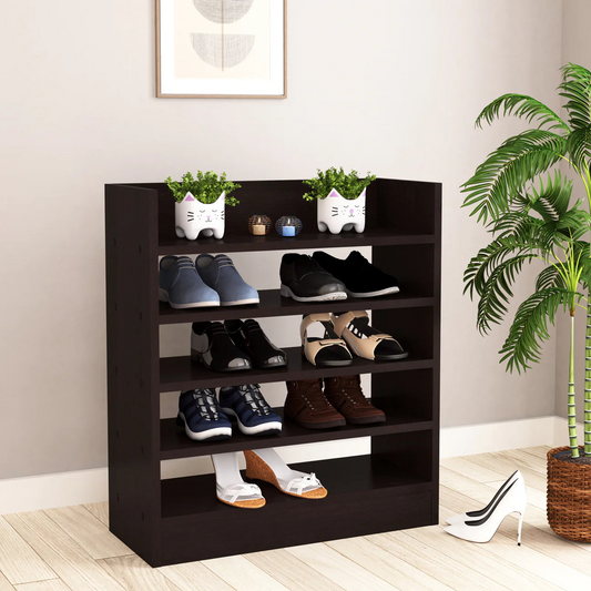 A shoe rack with various shoes and plant pots against a wall, next to a potted palm.