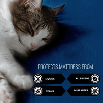 Story@Home Royal Blue Terry 100% Waterproof and Dustproof Premium Single / Double Size Mattress Protector
