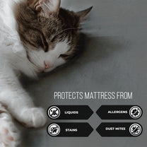 Grey Terry 100% Waterproof and Dustproof Premium Single / Double / King Size Mattress Protector