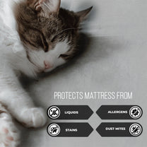 Grey Terry 100% Waterproof and Dustproof Premium Single / Double / King Size Mattress Protector