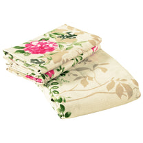 Ventura 144 TC Cream & Green Floral Cotton Double Bedsheet Combo - Pack of 2