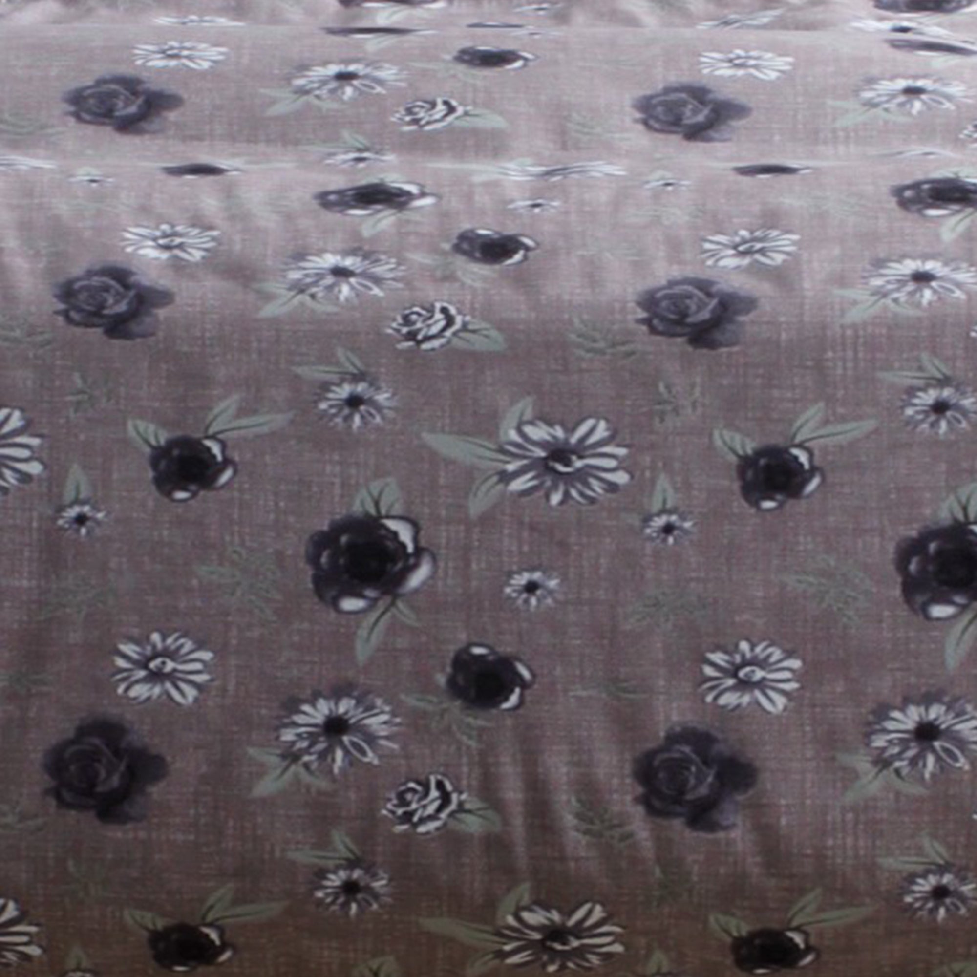 Studio Luxurious 144 TC 100% Cotton Brown Double Bedsheet